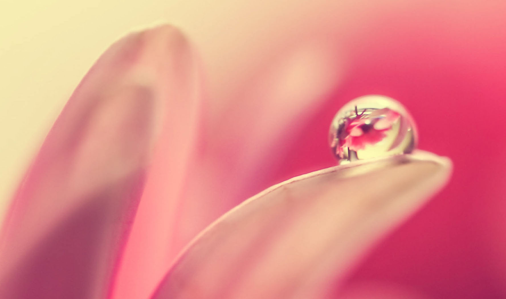 Flower droplet - event type