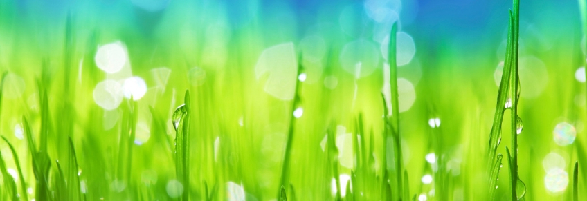 WEBINAR - Your Holiday Wellness Blueprint: Sleep Better, Stress Less, Savor More