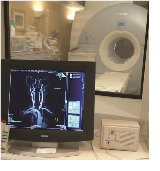 mri_DSCF0009 cropped mri_DSCF0009 cropped
